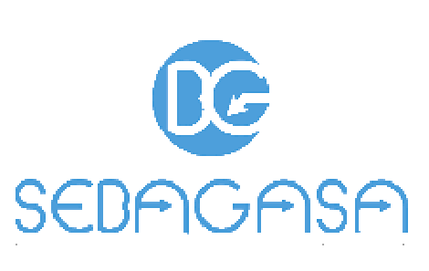 Logo de Sebagasa